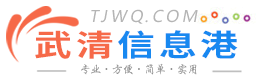 武清信息港